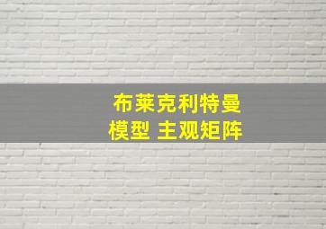 布莱克利特曼模型 主观矩阵